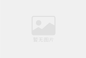 冻干木瓜(FD木瓜)
